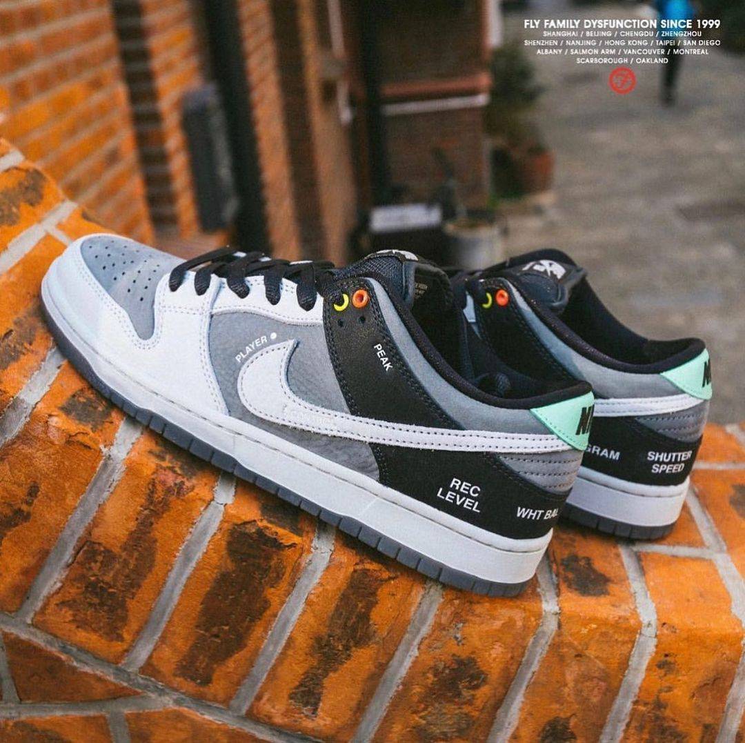 nike dunk sb vx1000