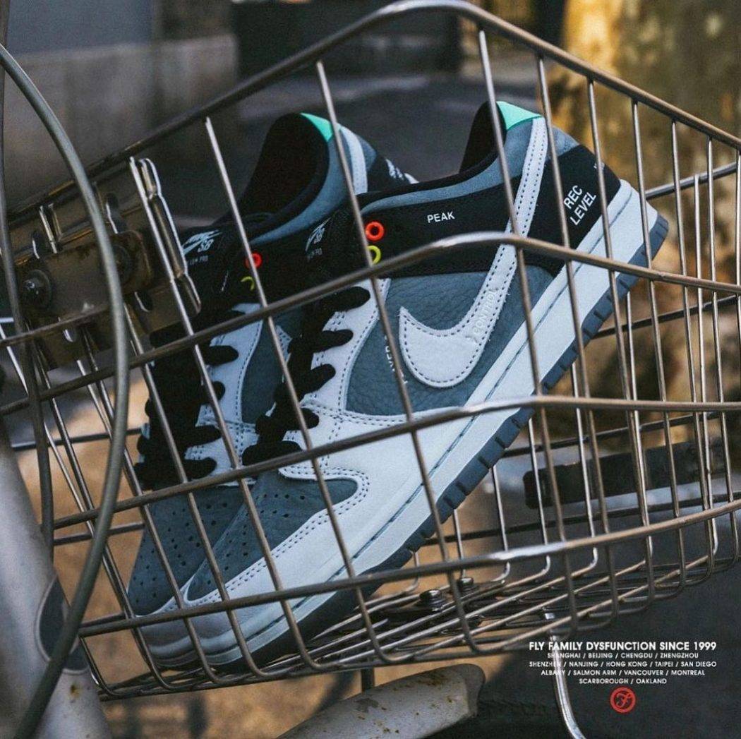 nike dunk sb vx1000