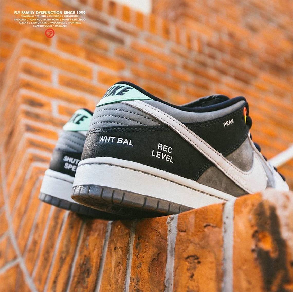 vx1000 dunk low