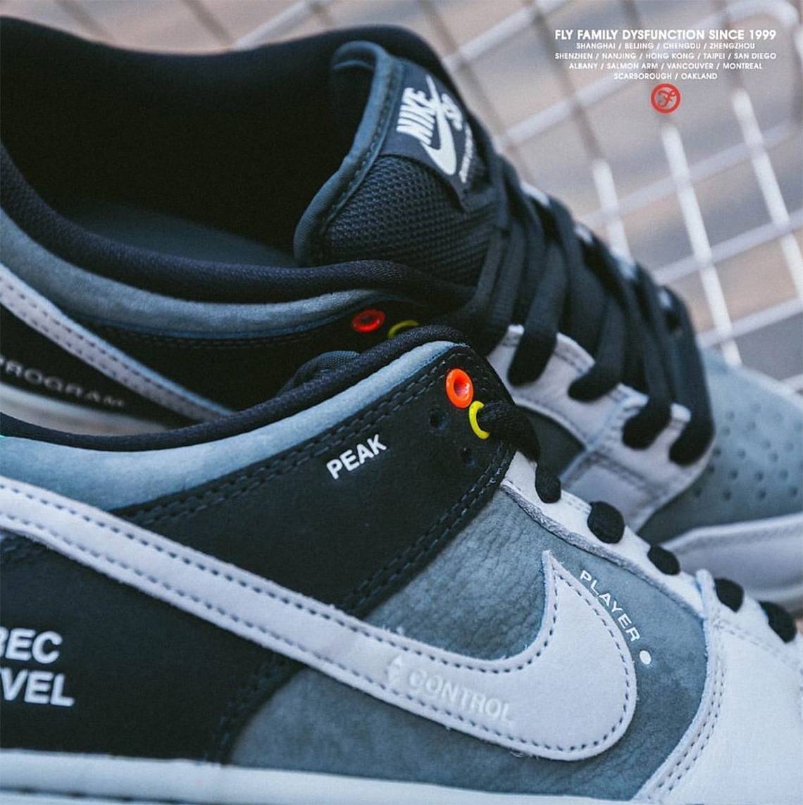 vx1000 dunk low
