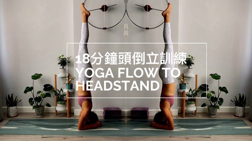 每天練習系列 18分鐘頭倒立瑜伽訓練 Yoga Flow to Headstand  減輕壓力、改善血液流動、加強肩膀和手臂、核心肌肉力量、改善消化(Yoga with Olmen)