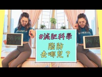 減肥科學系列： 脂肪去哪兒 ？