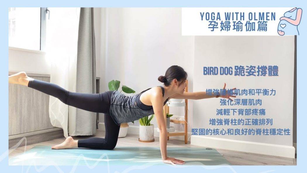 【孕婦瑜伽系列🤰🏻郁吓啦準媽媽 EP20】20秒教你增強腰椎肌肉和平衡力，減輕下背疼痛 (Bird Dog 跪姿撐體)
