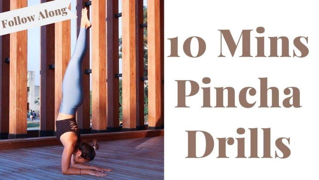 10 Mins Elbow Stand Drill | Forearm Stand | Pincha Mayurasana | Follow Along | Stella Mak Yoga