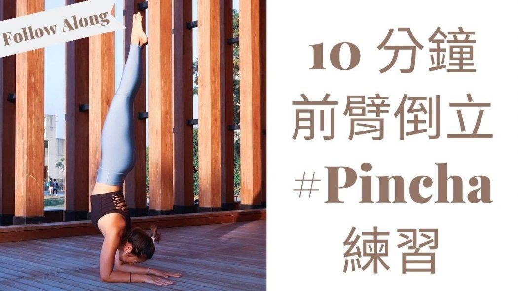 10 分鐘前臂倒立練習 Pincha Mayurasana| Elbow Stand | Forearm Stand | Follow Along | Stella Mak Yoga