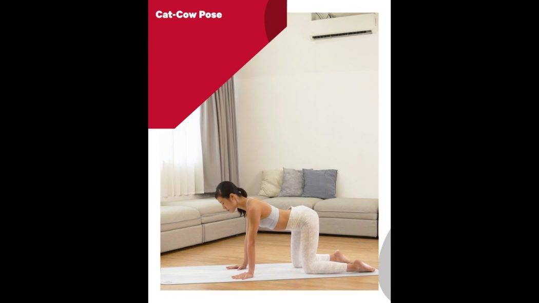 15秒教你做 Cat & Cow Pose 貓牛式 (Yoga with Olmen) lululemon
