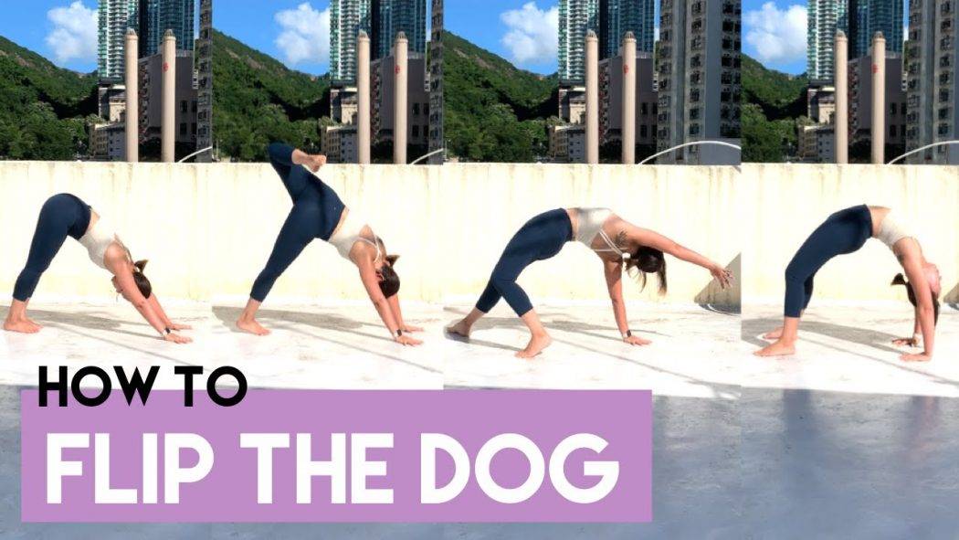 如何由下犬式到拱橋瑜伽教學，20分鐘流動瑜伽，後彎熱身 | How to flip the dog : from downward facing dog to wheel pose