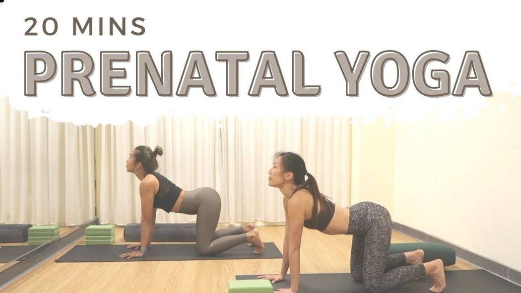 20 Mins Prenatal Yoga | Prepare for labor | Pain Free | Guest Teacher: Carmen Pang | Stella Mak Yoga