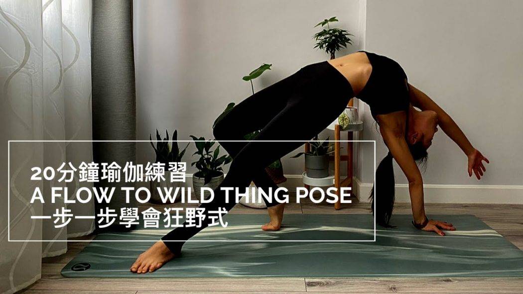 20分鐘瑜伽練習A Flow To Wild Thing Pose 一步一步學會狂野式 (Yoga with Olmen)