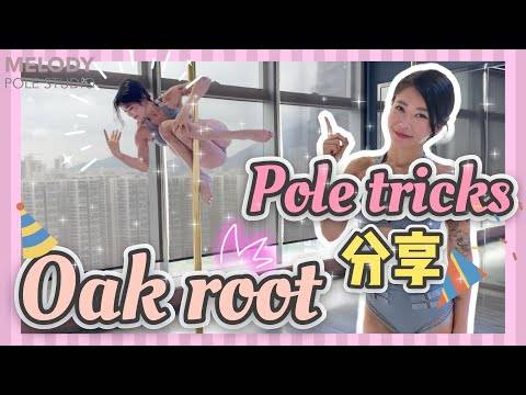 【Pole Dance教室】Oak root || pole tricks ||鋼管舞