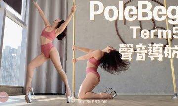 2021Term5聲音導航】Pole BEG – SONG* POV || POLE DANCE||鋼管舞||POLE TRICKS||ROUTINE
