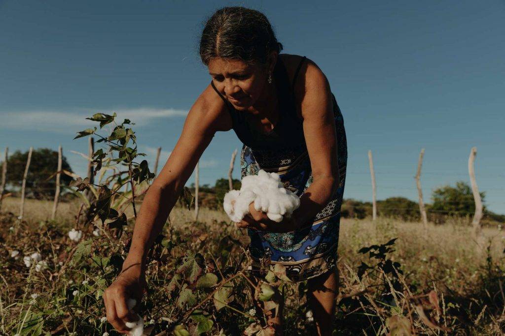 VEJA Veja遵照公平貿易原則直接向農民購買棉花。