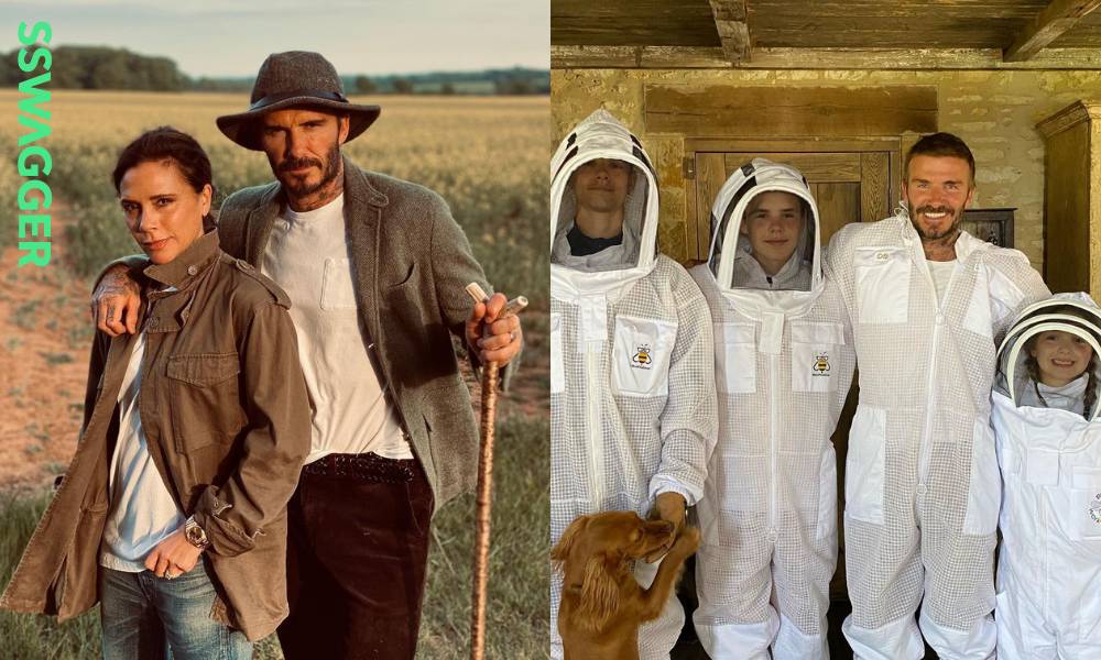 碧咸新歡竟然是蜜蜂？全家變身養蜂人計劃推「碧咸牌蜂蜜」 保育蜜蜂救地球