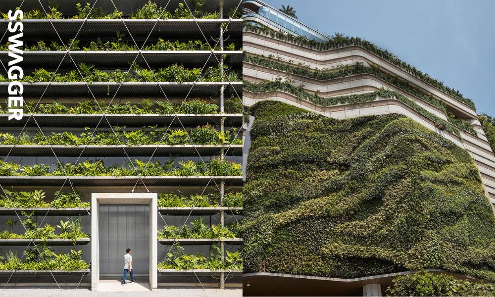 5個垂直綠化外牆的永續建築 外牆種植集觀賞與功能於一身